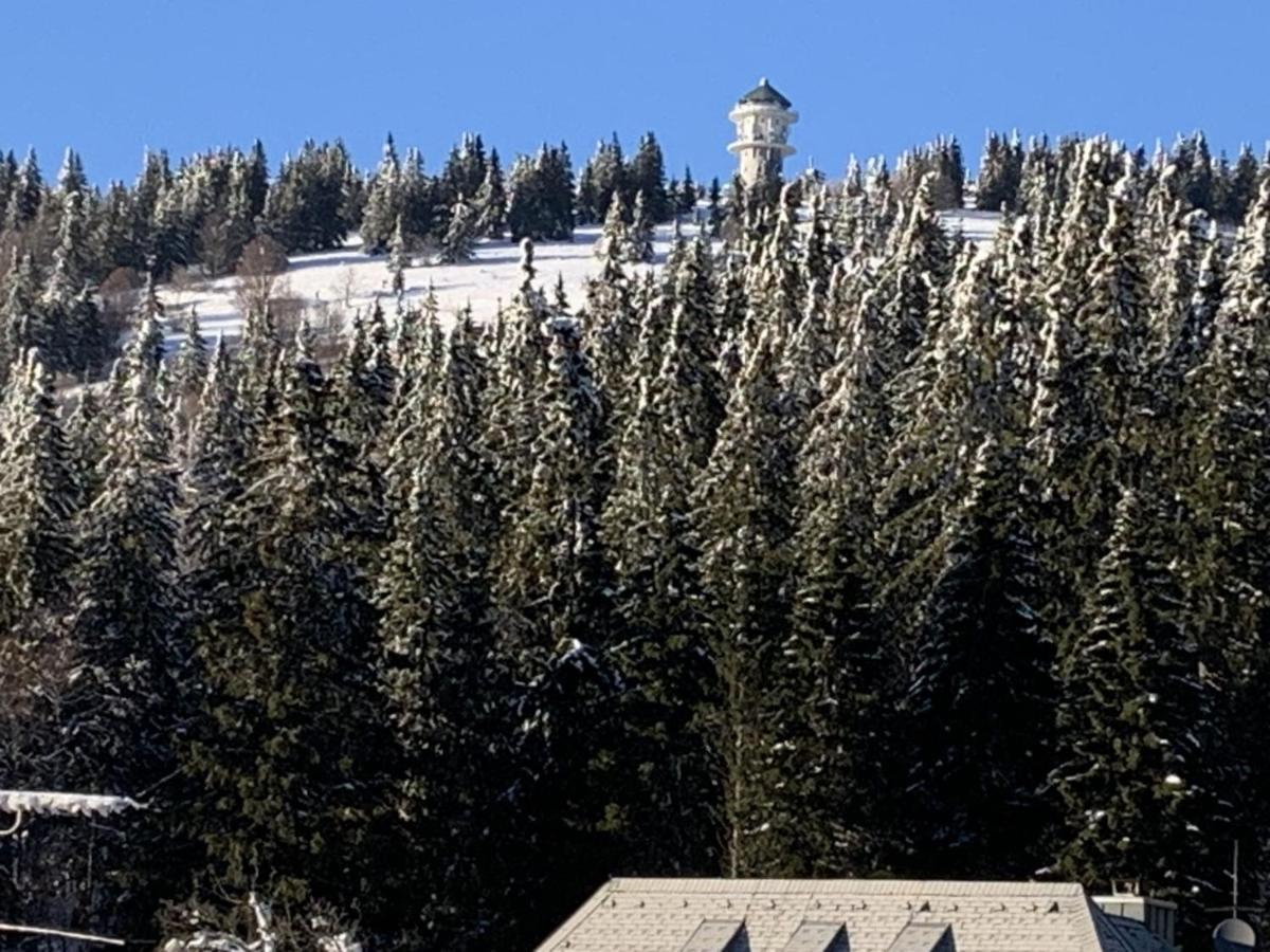 Апартаменти H&P Touristik Residenz Grafenmatt Gra-3-1 Фельдберг Екстер'єр фото